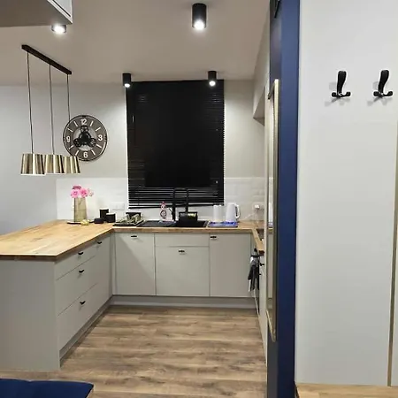 Blue 4 Pokojowy Z Ogródkiem * Varsovia